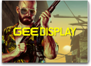 GEE Display